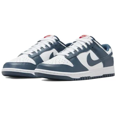 Obrázok produktu pre Pánska Športová Obuv Nike Dunk Low Retro Dd1391 400 R-40.5