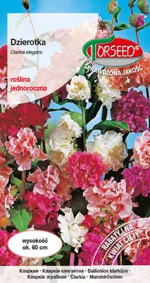 Zdjęcie produktu dla Stokrotka mieszana Clarkia elegans 1g - Torseed