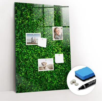 Produktbild von Magnetpinnwand Memoboard - Zubehörsatz - Weißer Marker + Schwamm + Magnete - 60 x 90 cm - Zaunpflanzenblätter