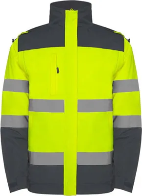 Zdjęcie produktu dla Roly Workwear Epsylon Parka