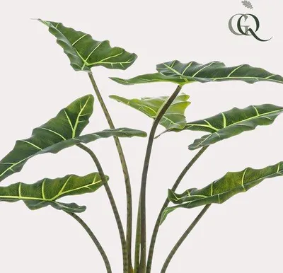 Obrázek produktu pro Umělá rostlina Alocasia Frydek, sloní ucho, 90 cm