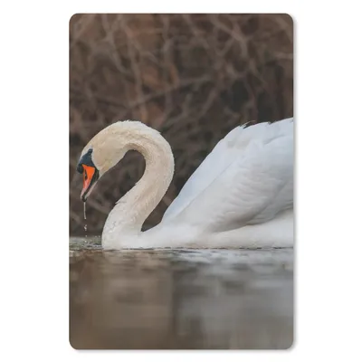 Produktbild von MuchoWow® Mauspad Mousepad Schwan - Wasser - Tiere - Vogel 18x27 cm - Mousepads - Maus Mat - Pad - Mausunterlage