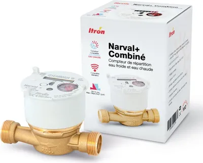 Image de Compteur Combiné Narval Eeau Froide Et Eau Chaude - Itron