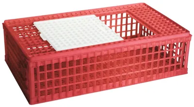 Immagine prodotto di Trasportino per pollame (28 cm) | 1 sportello | Plastica