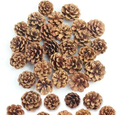 Productafbeelding van Set van 32 Natuurlijke Dennenappels voor Kerstdecoratie