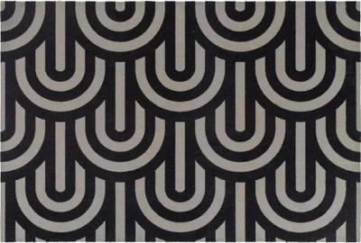 Produktbild von Primaflor Schmutzfangmatte VELVET - Arcs - 60x90cm - Strapazierfähige Türmatte, Rutschfester Türvorleger, Sauberlaufmatte Modernes Design