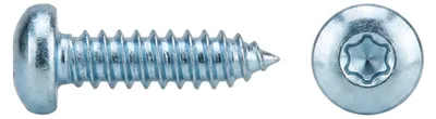 Produktbild von Reyher  Linsenblechschrauben ISO14585 A2 4,8x60 -C-T25 A 2 (250 Stück)