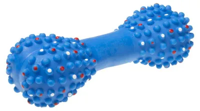 Zdjęcie produktu dla Piszcząca kość z kolcami dla psa 16,7 cm mix kolorów