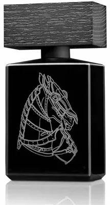 Zdjęcie produktu dla BeauFort Iron Duke EDP 50 ml UNISEX