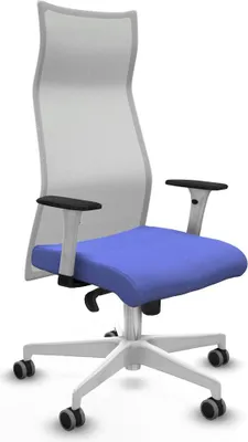 Obrázek produktu pro Bürostuhl Piqueras y Crespo B1B026G Hellblau