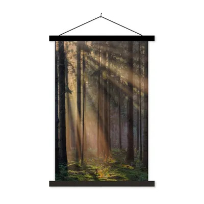 Produktbild von MuchoWow® Textilposter Bäume - Wald - Sonne - Pflanzen 120x180 cm mit schwarzem Rahmen - Fotos