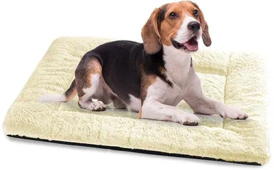 Image de Lit pour chien de taille moyenne - 90 x 60 cm, coussin moelleux, lit antidérapant, beige