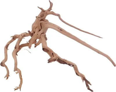 Produktbild von M Siennawurzel Nr.3223 Wurzel Holz Aquarium Deko Aquascaping