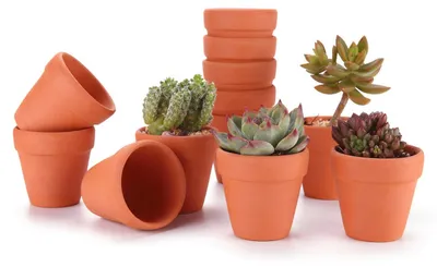 Immagine prodotto di Set di 12 vasi in terracotta - Piccoli vasi per piante grasse e cactus