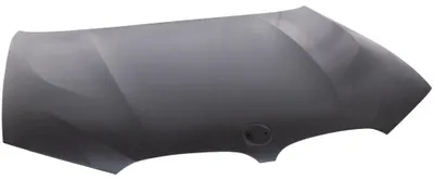 Image de DIEDERICHS 1277000 Capot avant pour BMW X3 (G01, F97, G08) 2017-2024