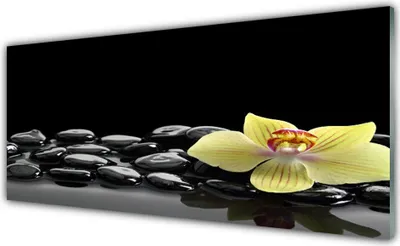 Produktbild von Acrylglasbilder 125x50 Wandbild Druck Blume Steine Küche