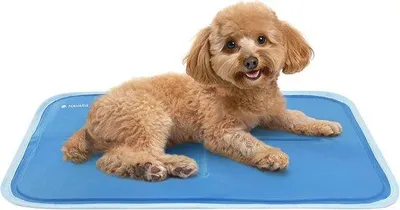 Produktbild von Famanu Kühlmatte für Hunde und Katzen - 40 x 50 cm - Blau