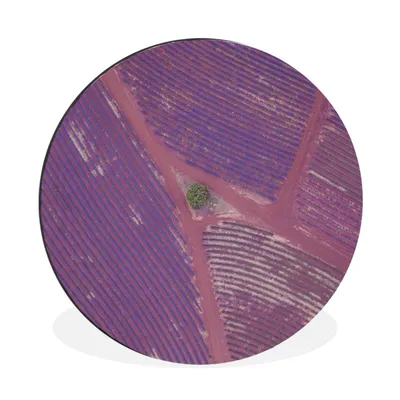 Produktbild von MuchoWow® Aluminium Wandkreis Blumen - Lavendel - Australien Ø 60 cm Wanddeko Modern Wohnzimmer - Wand Kreis - Wandbild - Schlafzimmer - Aluminium Bild - Kinderzimmer - Wohnzimmer Dekoration - Wandschmuck