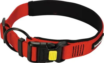 Obrázek produktu pro Beeztees Parinca Premium - Obojek pro psy - nylon - červený - 50-55 cm x 25