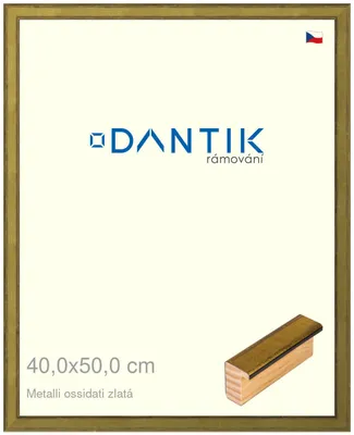 Zdjęcie produktu dla Ramka DANTIK 40x50 | Metalli oidati gold (Plexi Clear)