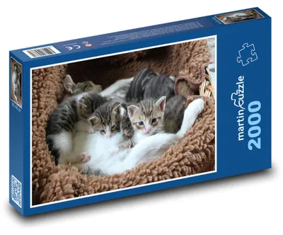 Zdjęcie produktu dla martinpuzzle - Puzzle 2000 - Kotek - kocięta w koszyku