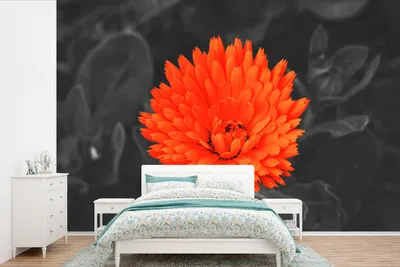 Produktbild von MuchoWow® Fototapete für Wohnzimmer oder Schlafzimmer Wandtapete Vinyl Motivtapete Blumen - Orange - Schwarz - Weiß - 390x260 cm - Papiertapete