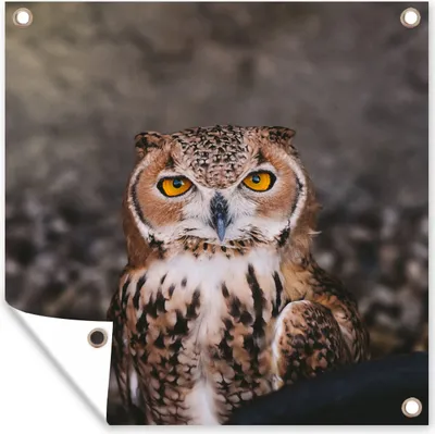 Produktbild von MuchoWow®
