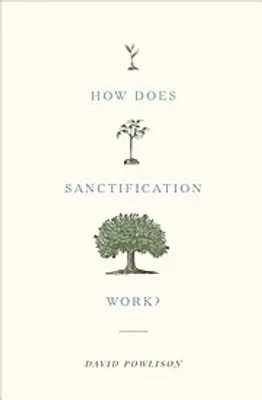 Image de How Does Sanctification Work?