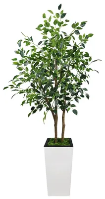 Image de Ficus Benjamina - Arbre artificiel - 150 cm de hauteur - Feuilles réalistes - Plastique - Pour l'extérieur - Facile d'entretien