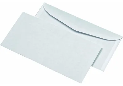 Immagine prodotto di mayer-network 30005468 Buste senza finestra (114x229 mm), gommate, 75 g/m², 1.000 pezzi