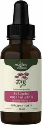 Produktbild von Nanga Echinacea angustifolia Extrakt 1:1 50 ml