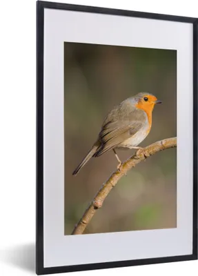 Produktbild von MuchoWow® Gerahmtes Poster Rotkehlchen - Vogel - Natur 40x60 cm - Poster mit Schwarzem Bilderrahmen Wandposter Rahmen Foto Bilder - Poster in Rahmen