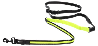 Image de Laisse de Jogging LED Réfléchissante pour Chien