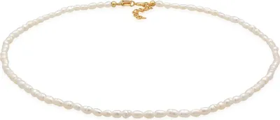 Produktbild von ELLI Damen Halskette aus 925 Silber mit Süßwasserperlen, Klassischer Choker-Stil