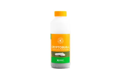 Obrázek produktu pro BIOCONT LABORATORY, spol. s r.o. Dravé slunéčko proti červcům (1000 larev) - Cryptobug-L (Cryptolaemus montrouzi)