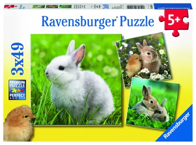 Produktbild von Niedliche Häschen Ravensburger 08041
