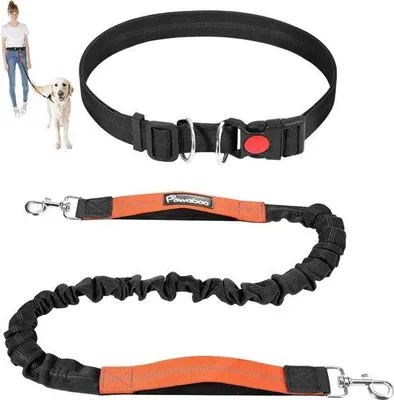 Produktbild von Famanu Hundeleine mit Taillengurt - Elastisch und Reflektierend, Schwarz