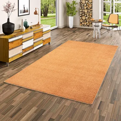 Produktbild von Hochflor Velours Teppich Luna Terrakotta, Größe:160x200 cm