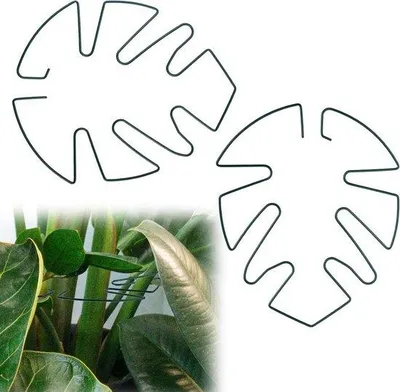 Obrázok produktu pre Kovová tyč na popínanie pre rastliny Monstera
