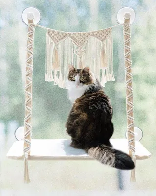 Productafbeelding van Kattenmand van macramé – Ruimtebesparend kattenbed voor raam of muur – Geschikt voor katten tot ongeveer 20 kg