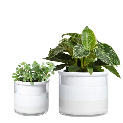Productafbeelding van Solidchoice - Zelfwatergevende Terracotta Plantpot Set, Wit