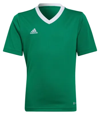 Produktbild von adidas Entrada 22 Trikot 176 TEAGRN/WHITE