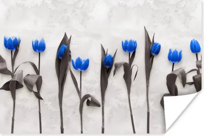 Produktbild von MuchoWow® Poster Blumen - Tulpen - Blau 180x120 cm - Fotoplakat