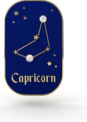 Image de PINETS épingle signe astrologique Capricorne