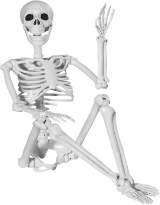 Zdjęcie produktu dla Szkielet dekoracyjny na Halloween, do użytku zewnętrznego - 90 cm - Mroczny szkielet, dekoracja na Halloween, motyw czaszki