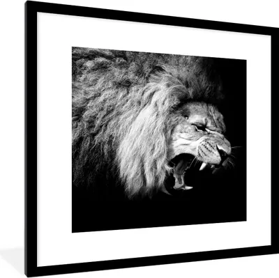 Produktbild von MuchoWow® Gerahmtes Poster Löwe - Porträt - Schwarz - Weiß - Tiere 40x40 cm - Poster mit Schwarzem Bilderrahmen Wandposter Rahmen Foto Bilder - Poster - Plakat im Rahmen