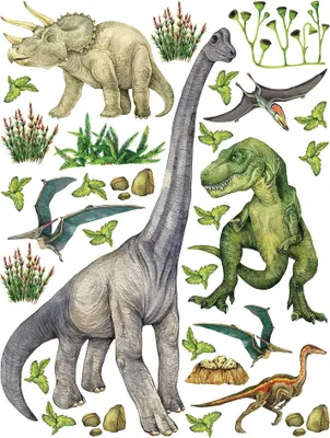 Produktbild von Sticker Dinosaurier - 6 Arten von Dinosauriern - 1 Bogen 65 x 85 cm