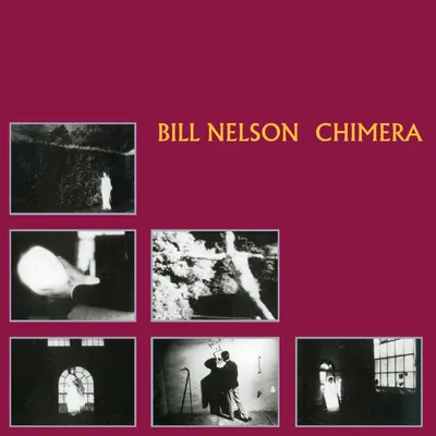 Produktbild von Nelson, B: Chimera