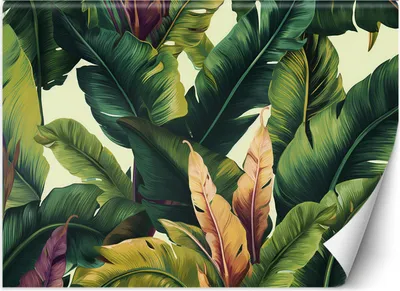 Immagine prodotto di Murale grande foglie tropicali colorate carta da parati per pareti 300x210 cm colore Verde tema Astratto