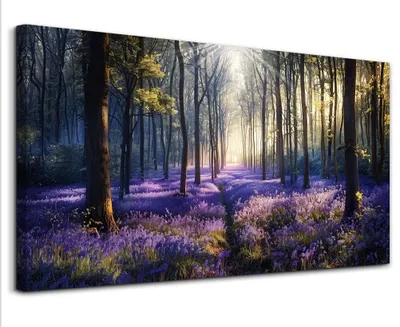 Leinwandbild Natur-Bos 73x146 cm Wanddeko